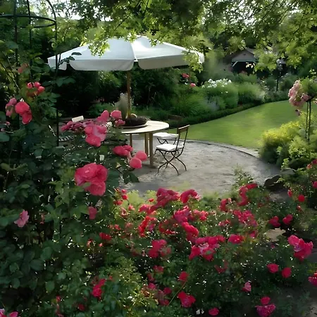 Apartment Goeckes Haus Und Garten Lavendelbeet
