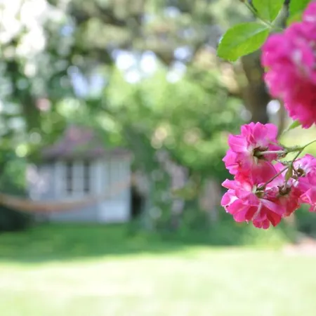 Goeckes Haus Und Garten Lavendelbeet Apartment