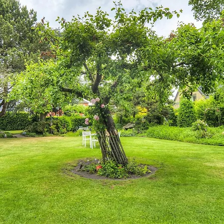 Goeckes Haus Und Garten Lavendelbeet Lägenhet Wettringen (North Rhine-Westphalia)