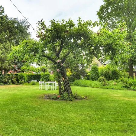 Goeckes Haus Und Garten Lavendelbeet