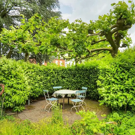 Goeckes Haus Und Garten Lavendelbeet