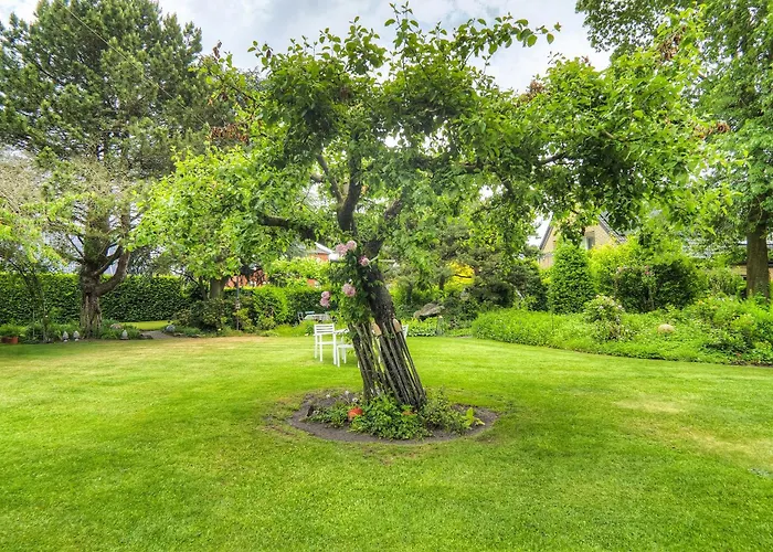 Goeckes Haus Und Garten Lavendelbeet Appartement Wettringen (North Rhine-Westphalia)