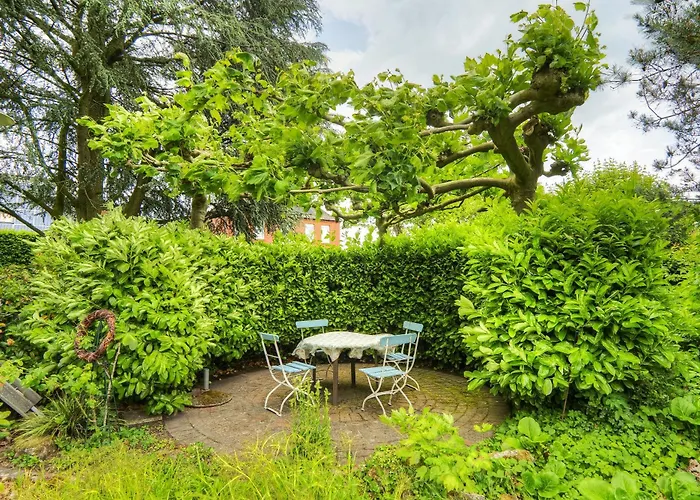 Goeckes Haus Und Garten Lavendelbeet